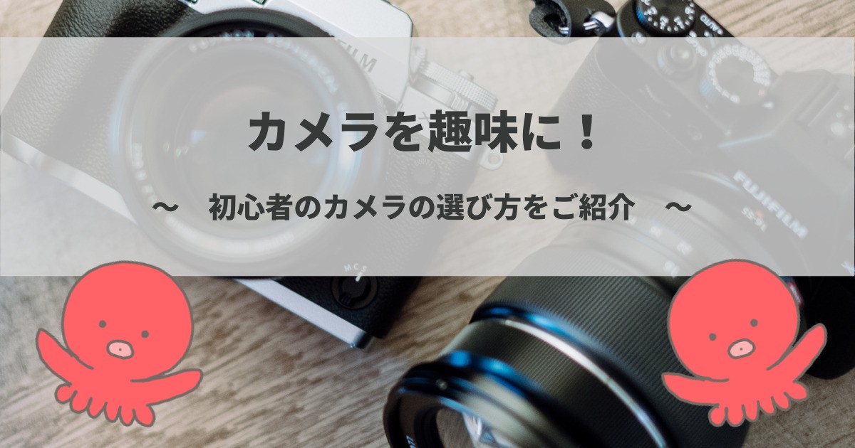 zakki_12